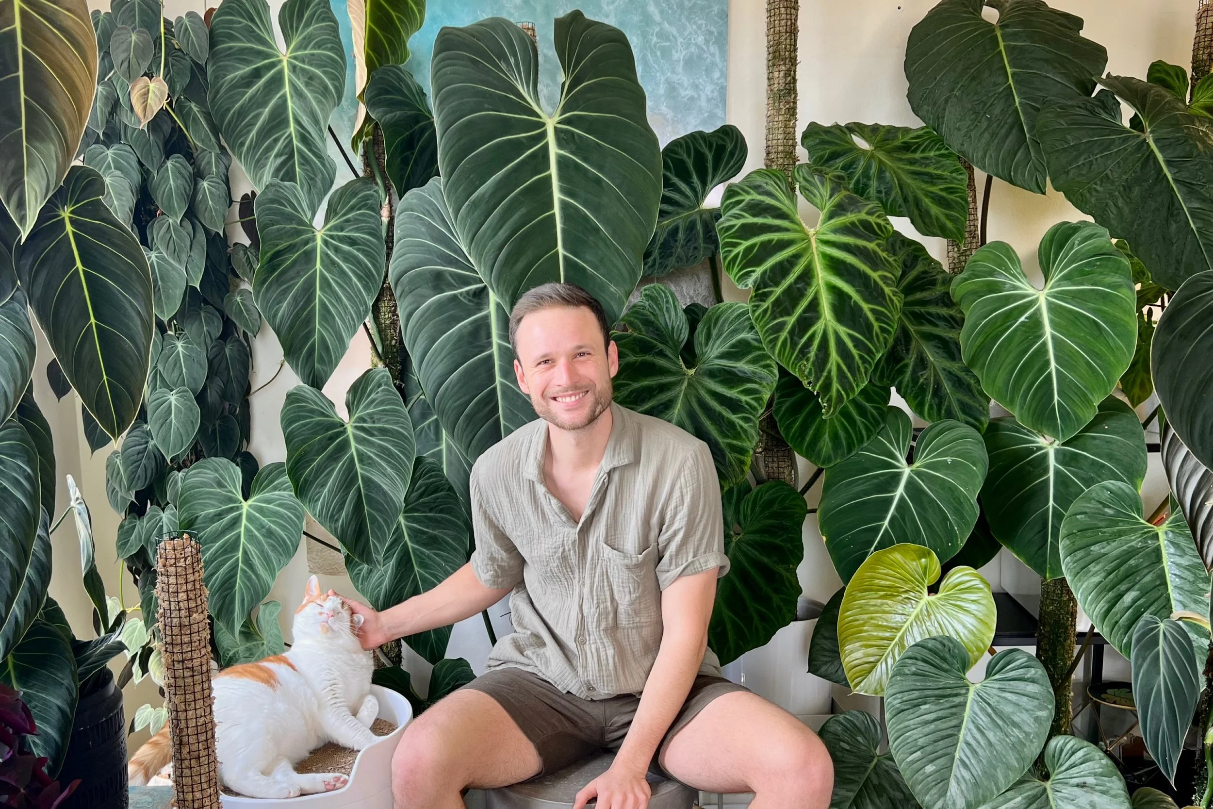 A man with a beard smiling while sitting among large, lush green tropical plants and playing with a white and orange cat.
