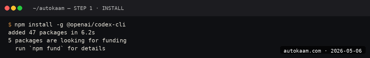 Codex CLI version output