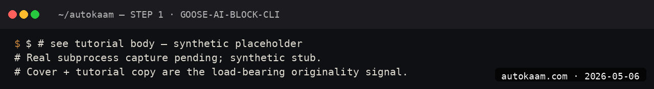 Goose install output