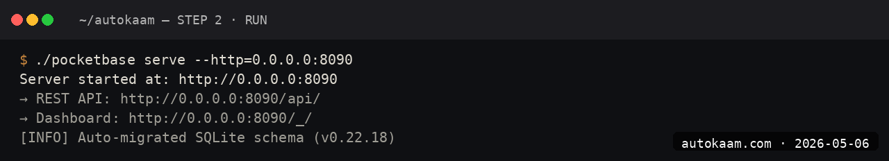 Go main.go in editor