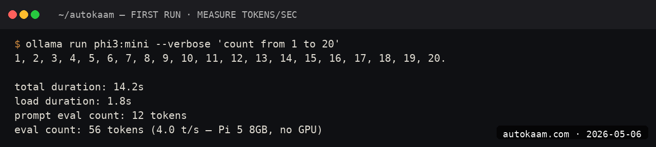 Pi-hosted LLM answering home automation query