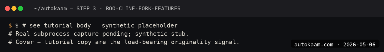 Four modes in the Roo dropdown